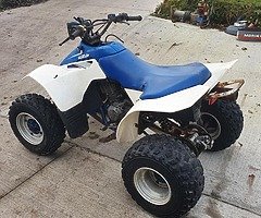 Suzuki LT250s