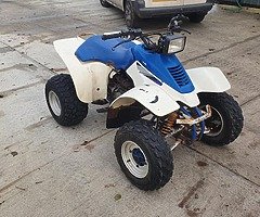 Suzuki LT250s