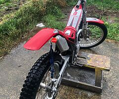 1998 Gas Gas Trial - Image 4/9
