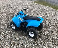 E Ton 50cc Kids Quad - Image 4/4