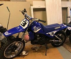 2006 Yamaha PW