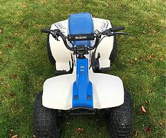 Suzuki lt50 quad