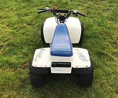 Suzuki lt50 quad