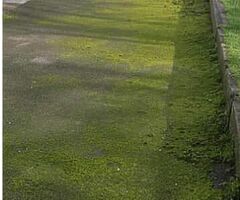 Get your driveway powerwashed for a small price  - Image 4/5