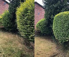 Jryan gardening