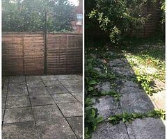 Jryan gardening - Image 6/6