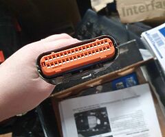 MSD race ignition yfz450r - Image 4/5