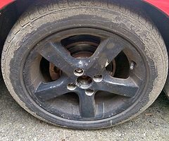 Wolf race alloys