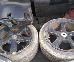 Wolf race alloys