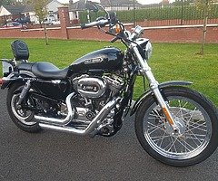 Harley Davidson XL 1200 Low Sportster