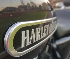 Harley Davidson XL 1200 Low Sportster