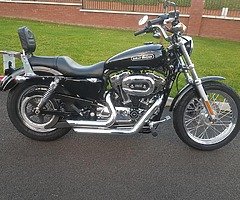 Harley Davidson XL 1200 Low Sportster