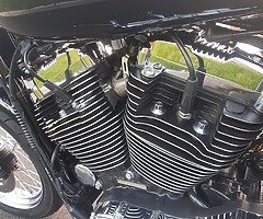 Harley Davidson XL 1200 Low Sportster - Image 9/10