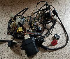 Peugeot Speedfight2 100cc Wiring Loom