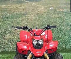 2021 quadzilla 100cc