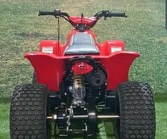 2021 quadzilla 100cc