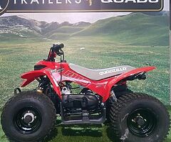 2021 quadzilla 100cc - Image 3/4
