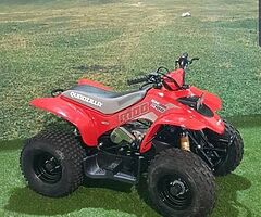 2021 quadzilla 100cc - Image 4/4