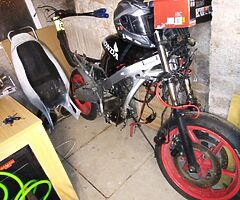 Two track bike race bike project