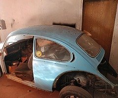 Celica and beetle - Image 3/6