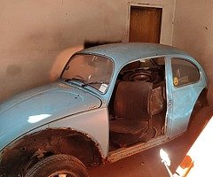 Celica and beetle - Image 5/6