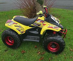 2011 Suzuki Lt50 quad