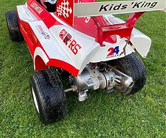 2010 Kids king buggy Buggy