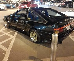 Looking pic for attention