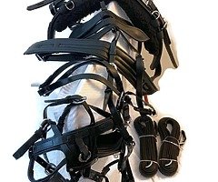 Horse harness