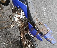 Wanted Pitbike