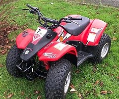 Suzuki LT50a Quad
