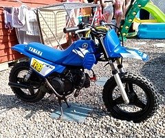 Pw 50
