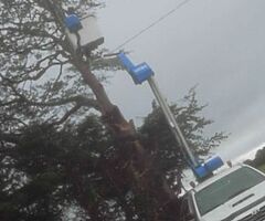 CC TREE SERVICE & GARDEN MAINTENANCE