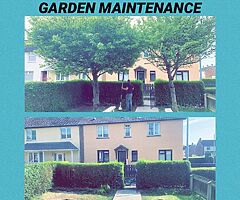 CC TREE SERVICE & GARDEN MAINTENANCE - Image 5/8
