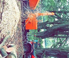 CC TREE SERVICE & GARDEN MAINTENANCE - Image 8/8