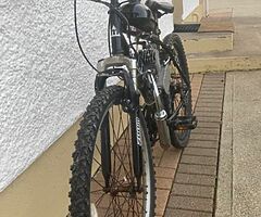 Engine bike