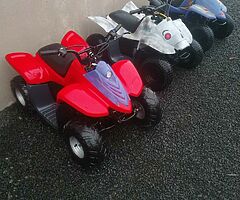 2021 Suzuki quadzilla dinli 50cc - Image 3/3