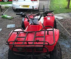 2010 Trx 300