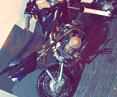 2010 SSR Motorsports SSR 110