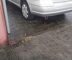 All Toyotas bought for cash - Image 3/8