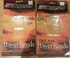 Boyesen Power Reeds