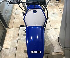 2004 Yamaha PW