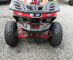 HUNTER 125CC QUADS