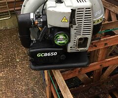 Leaf blower