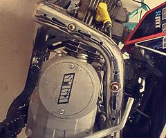 2019 A.P.C Motor Company Wild Card