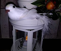 Lanterns and terracotta pots "robins appear when loved ones loved" - Image 4/10