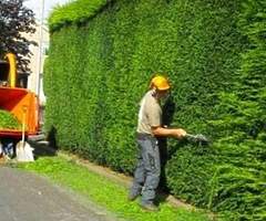 Power wash
