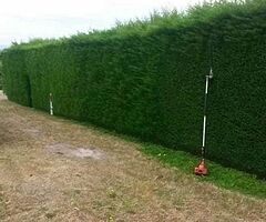 Power wash - Image 8/10