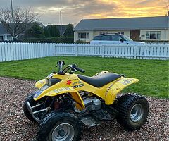 2021 Quadzilla r100 - 100cc -2 stroke R100