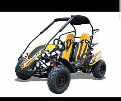 Quadzilla wolf XL dirt buggie